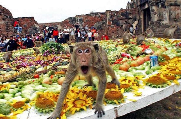 6 самых необычных и сумасшедших праздников в мире 76 фото