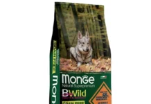 Влажные корма Monge для взрослых кошек: преимущества, ассортимент и рекомендации по кормлению