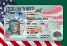 Виза EB-2 NIW: Как получить грин-карту США без работодателя и инвестиций