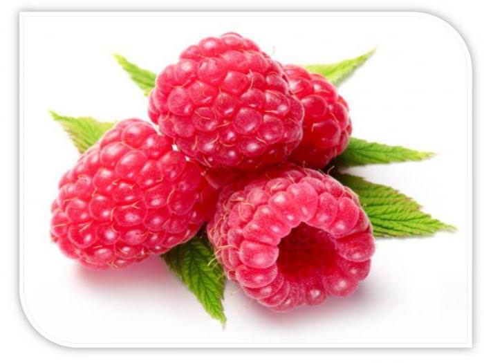 Елена Индивидуальный гороскопЛЕВЕлена Индивидуальный гороскоп